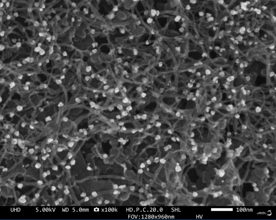 SEM image 1