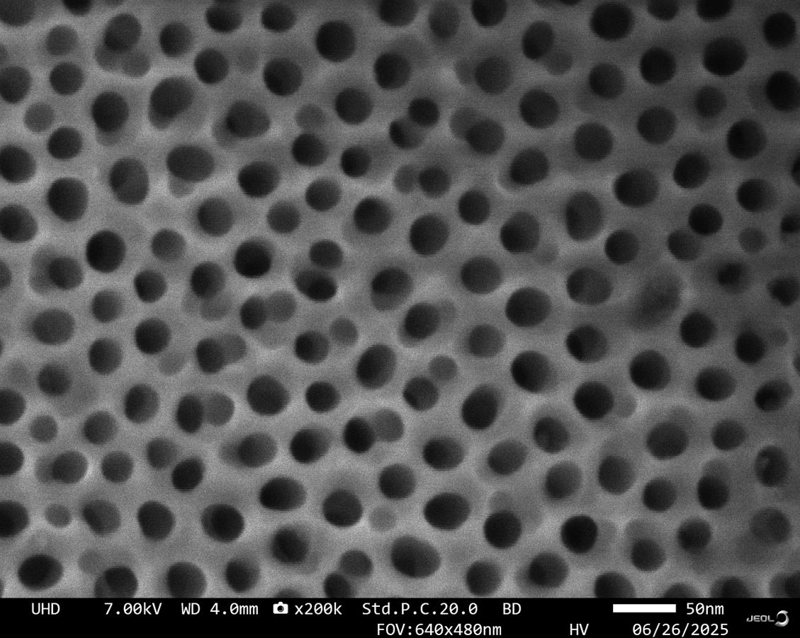 SEM image 2