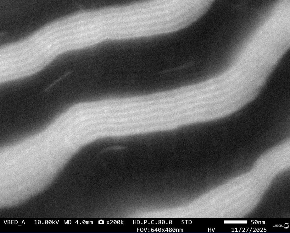 SEM image 3